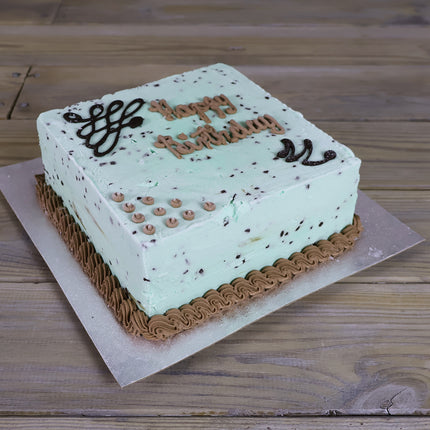 Luca's mint chocolate chip ice cream cake with chocolate sauce
