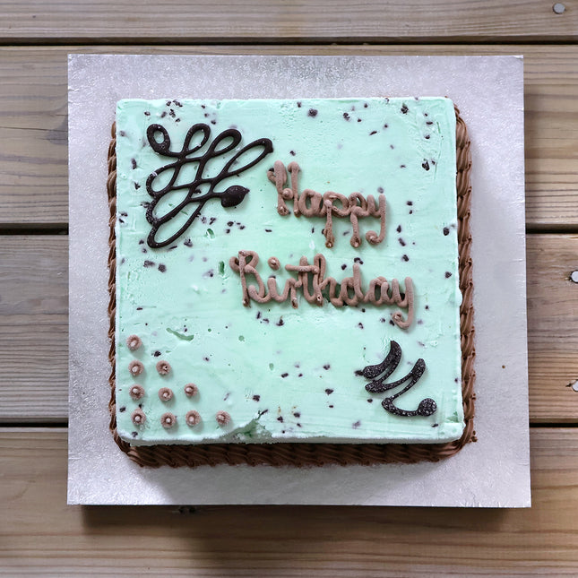 Luca's mint chocolate chip ice cream cake with chocolate sauce