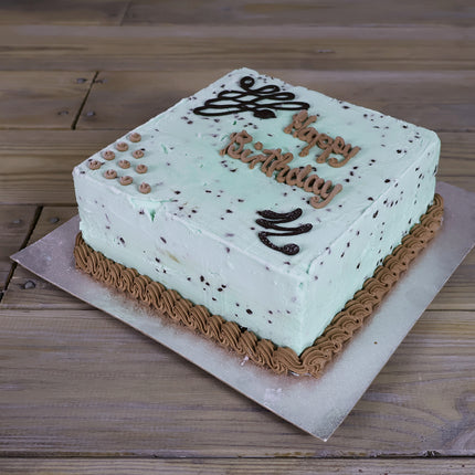 Luca's mint chocolate chip ice cream cake with chocolate sauce
