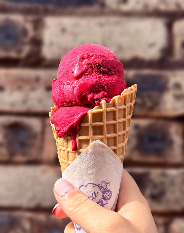 Blackcurrent sorbet cone