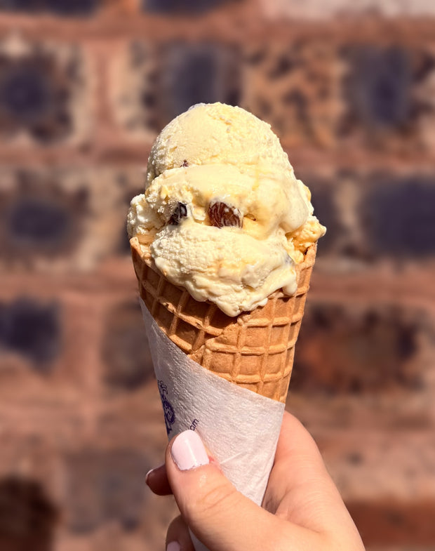 Rum raisin cone
